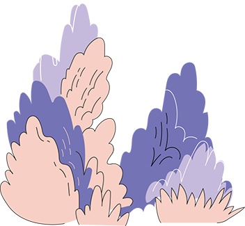 section media